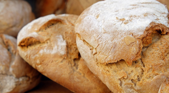 Saiba como fazer um Pão Italiano Crocante Incrível.