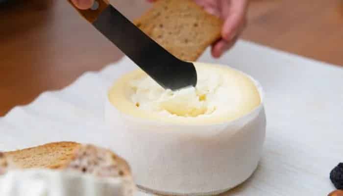 Receita deliciosa de patê de provolone