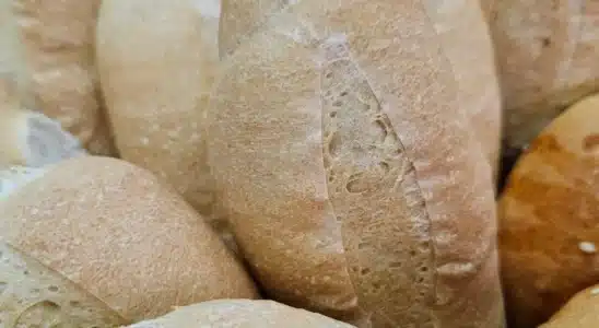 Receita de Pão branco básico ou pão Frances